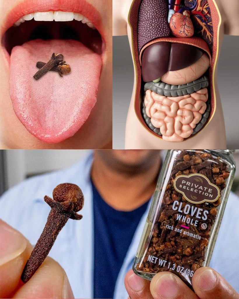 Chewing 2 cloves a day keeps the doctor away (better than you think)