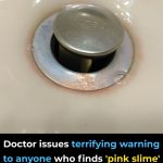 Warning For Pink Slime Found in Your Bathroom