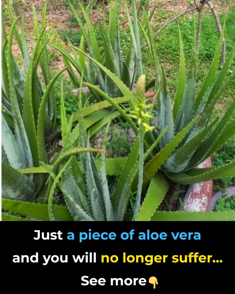 You will be surprised at its effects