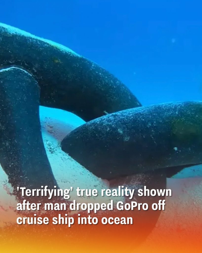 ‘Terrifying’ true reality shown after man dropped GoPro off cruise ship into ocean