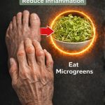 Alfalfa for Kidney Health: The Green Secret for Gentle, Natural Cleansing