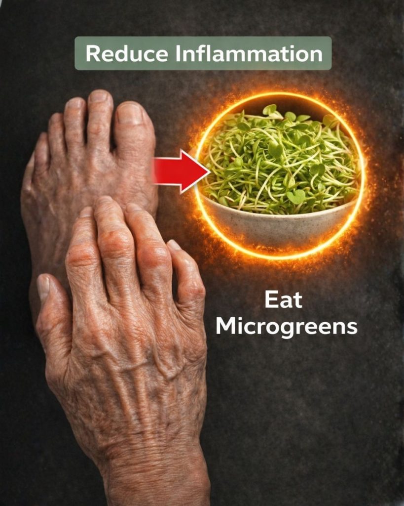 Alfalfa for Kidney Health: The Green Secret for Gentle, Natural Cleansing