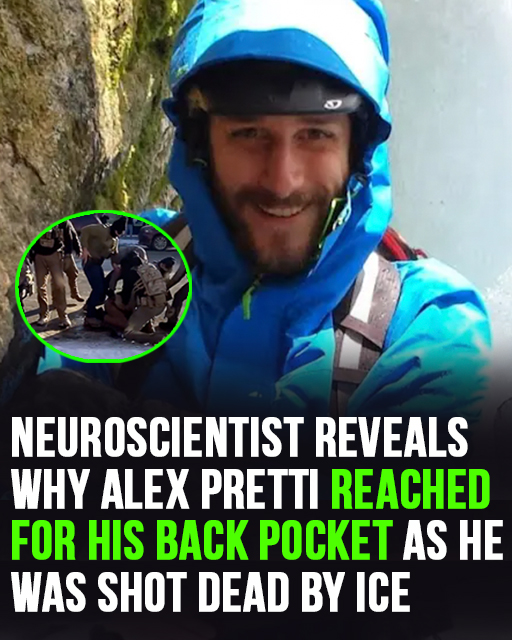 Neuroscientist reveals why Alex Pretti reached for his back pocket as he was shot dead by ICE