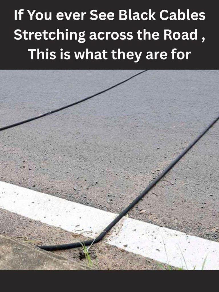 What You Should Do When You See Black Cables on the Road – The Surprising Truth Behind Those Mysterious Rubber Strips