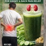 The “Green Reset”: A 7-Day Wellness Drink to Support Liver, Kidney & Lung Health Naturally