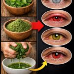 🌱 The Plant That Helps People Visit the Eye Doctor Less: Support Clear Vision Naturally