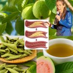🌿 Unlock the Secret Power of Guava Leaves: The Ultimate Natural Weapon Against Diabetes!