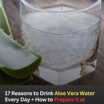 17 Reasons to Drink Aloe Vera Water Every Day + How to Make It at Home