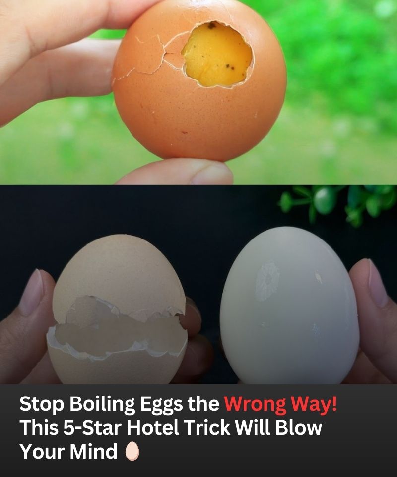 🥚 Think You Know How to Boil Eggs? This 5-Star Chef Trick Might Surprise You