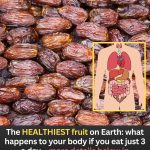 The HEALTHIEST FRUIT on Earth: what happens to your body if you eat just 3 a day