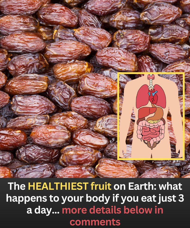 The HEALTHIEST FRUIT on Earth: what happens to your body if you eat just 3 a day
