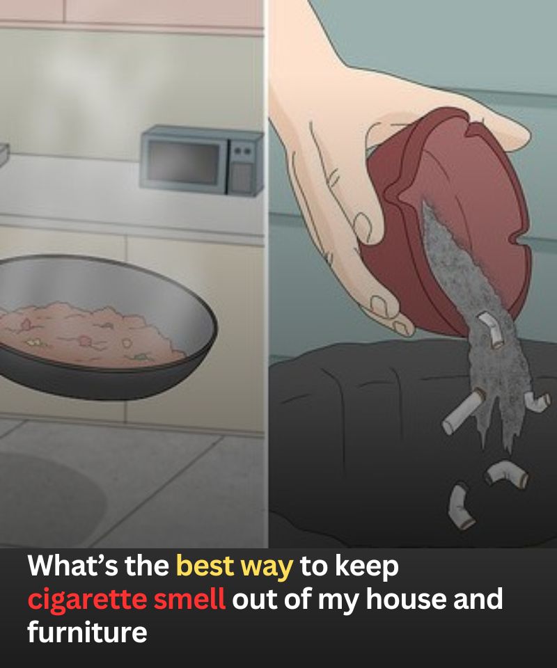 What’s the best way to keep cigarette smell out of my house and furniture