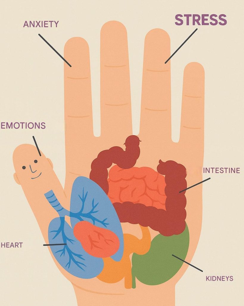 The Ancient Japanese Manual Technique for Relieving Pain: Just Press These Points on Your Hand