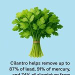 Cleanses the Liver 150 Times More Powerful Than Garlic and Lemon: Grandma’s Miracle Recipe