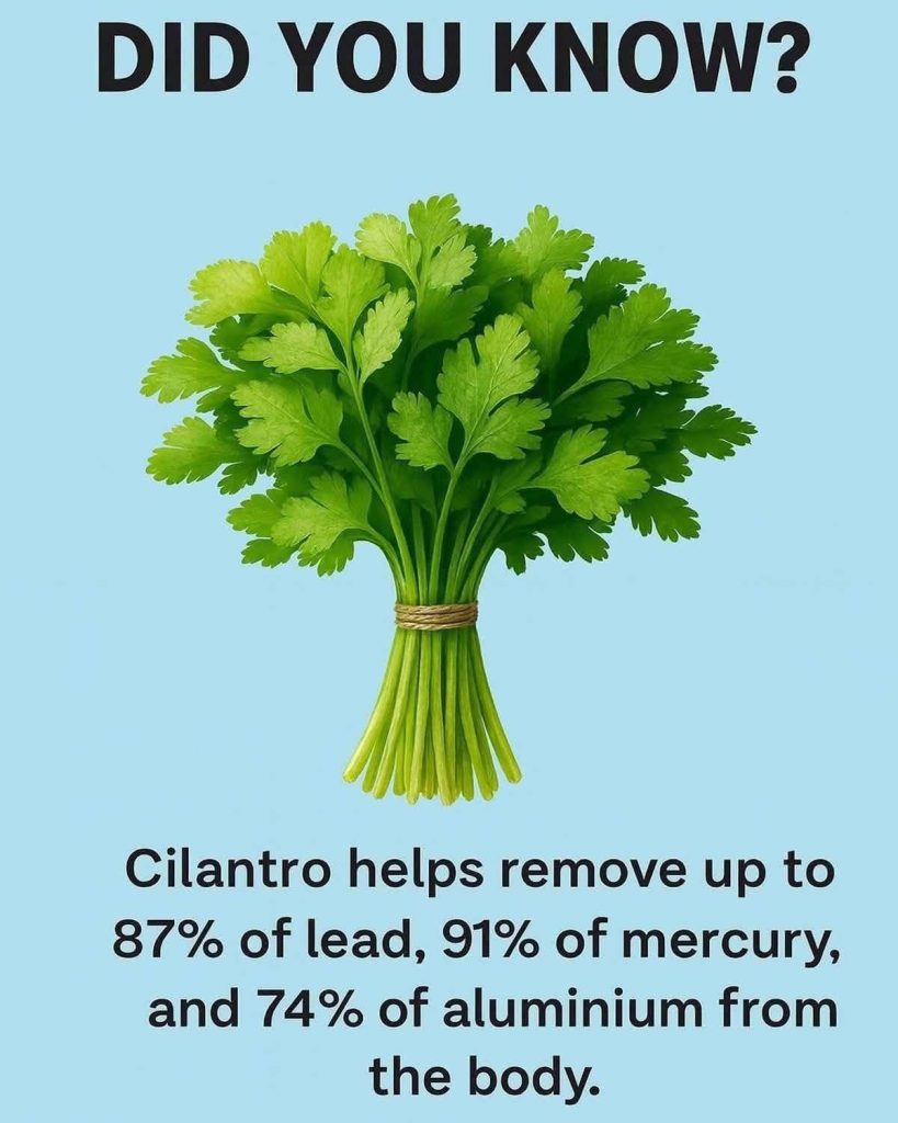 Cleanses the Liver 150 Times More Powerful Than Garlic and Lemon: Grandma’s Miracle Recipe