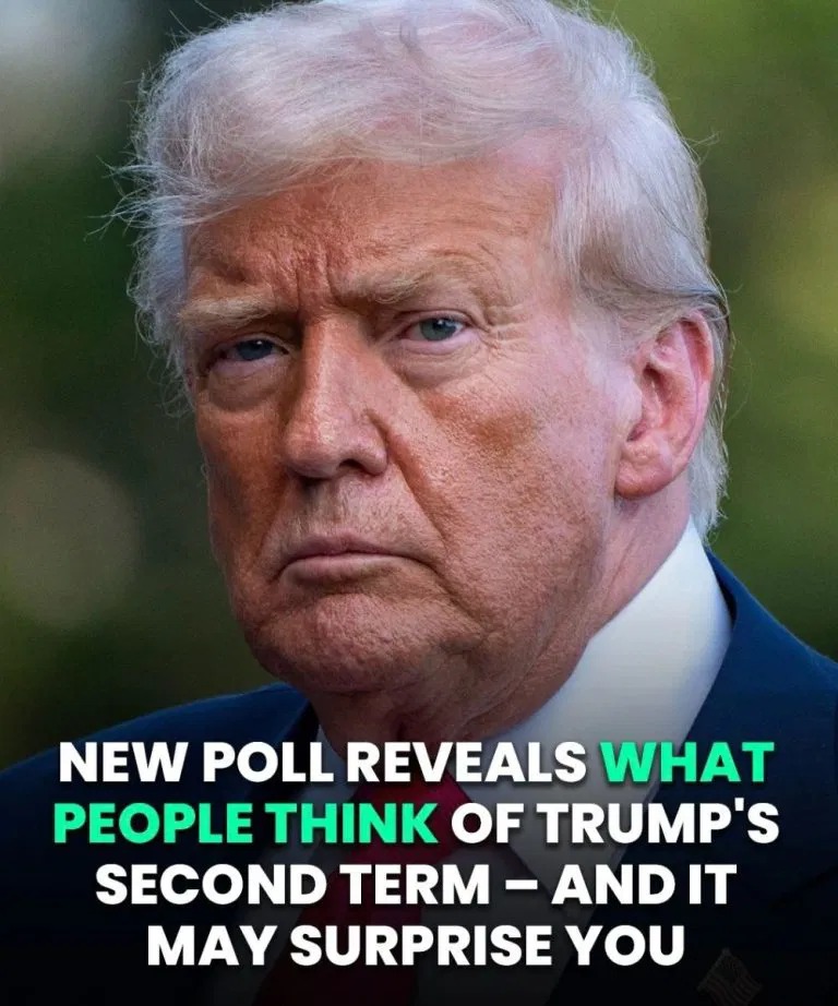 Jaw-Dropping Approval Ratings Reveal What Americans Really Think About Donald Trump