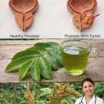 7 Natural Herbal Teas That May Support Prostate Health for Men Over 40