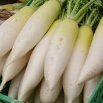 Doctors reveal that eating white radish (daikon) causes ….