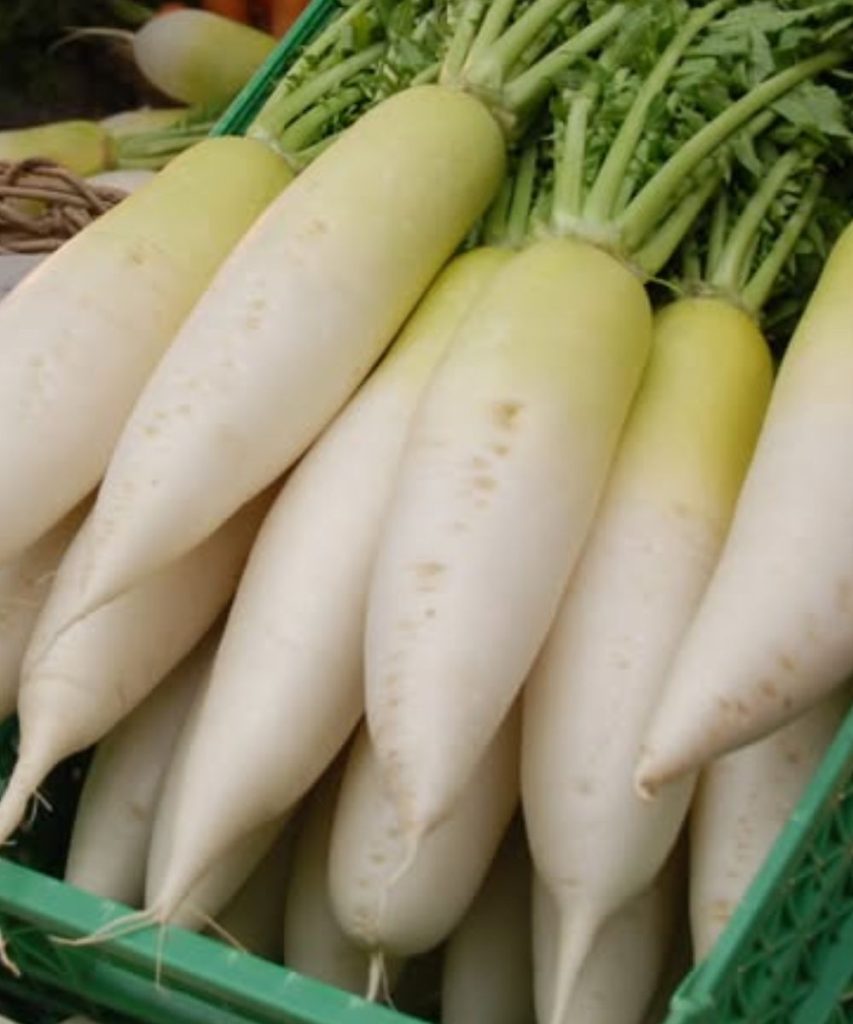 Doctors reveal that eating white radish (daikon) causes ….