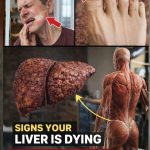17 Subtle Signs Your Liver May Need More Support