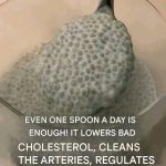 One Spoon a Day: Simple Foods That May Support Cholesterol, Blood Sugar, and Appetite Control