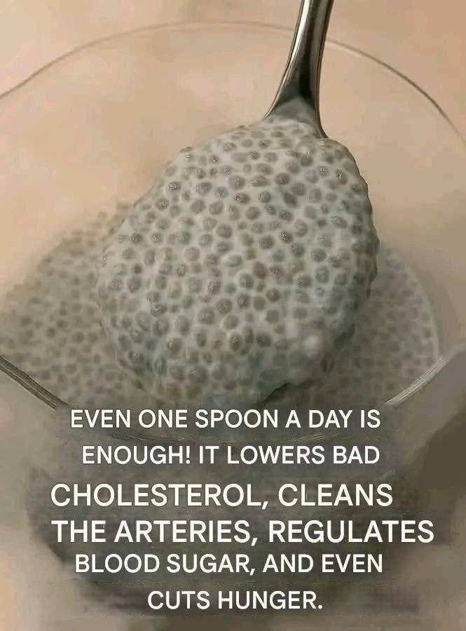 One Spoon a Day: Simple Foods That May Support Cholesterol, Blood Sugar, and Appetite Control