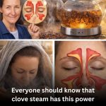 Clove Steam: A Natural Remedy for Nasal Congestion and More