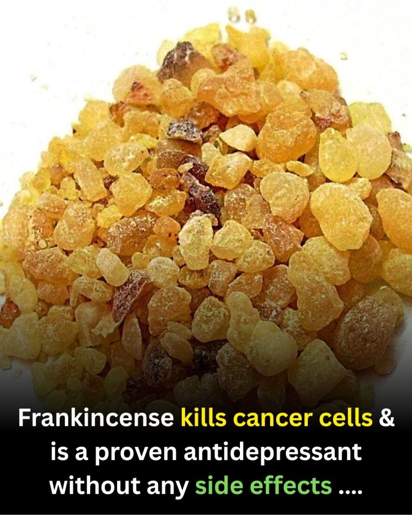 Frankincense: Exploring Its Potential Role in Supporting Cellular Health and Wellness