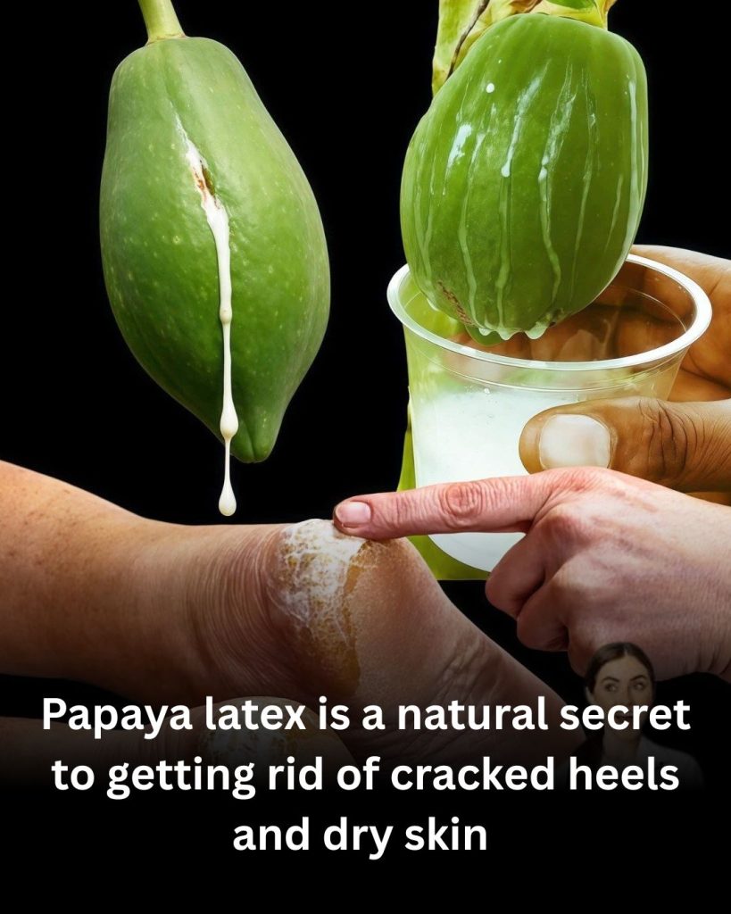 Papaya Sap for Feet and Skin: Benefits, Properties, and Step-by-Step Natural Use 🌿