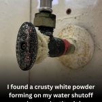 I found a crusty white powder forming on my water shutoff valves under the sink. Should I be worried?