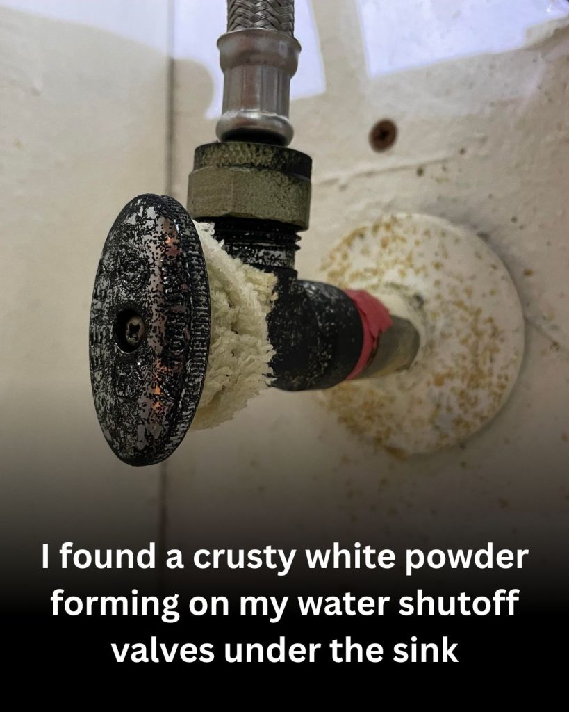I found a crusty white powder forming on my water shutoff valves under the sink. Should I be worried?