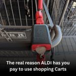 Why Does Aldi Make Customers Pay for Shopping Carts?
