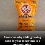 8 reasons why adding baking soda to your toilet tank is a must-do trick
