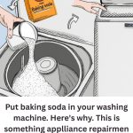 How to Clean Your Washing Machine for Fresher, Cleaner Laundry
