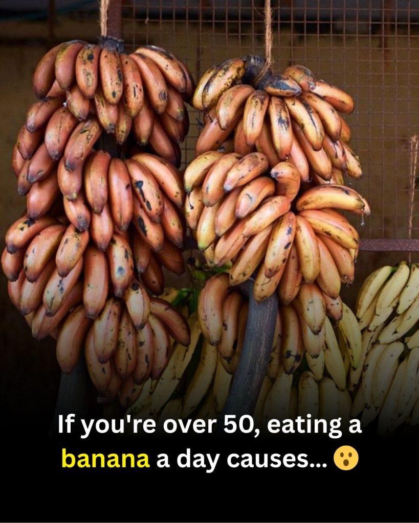 If you are over 50, eating a banana a day could be beneficial to your health.