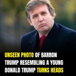 Fans Notice Striking Resemblance Between Barron Trump and a Young Donald Trump in Viral Photo