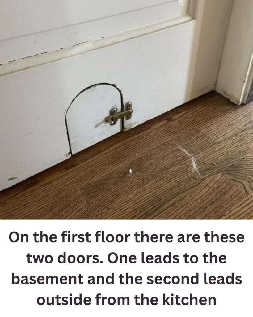 The Mystery Behind Old Houses’ Small Doors — And What They Were Really For