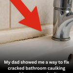 Wow, I never knew this!