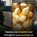 Nettle and Prostate Health: Potential Benefits, Preparation, and Safety Tips