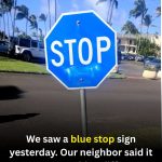 What a Blue Stop Sign Really Means (And When It Matters)