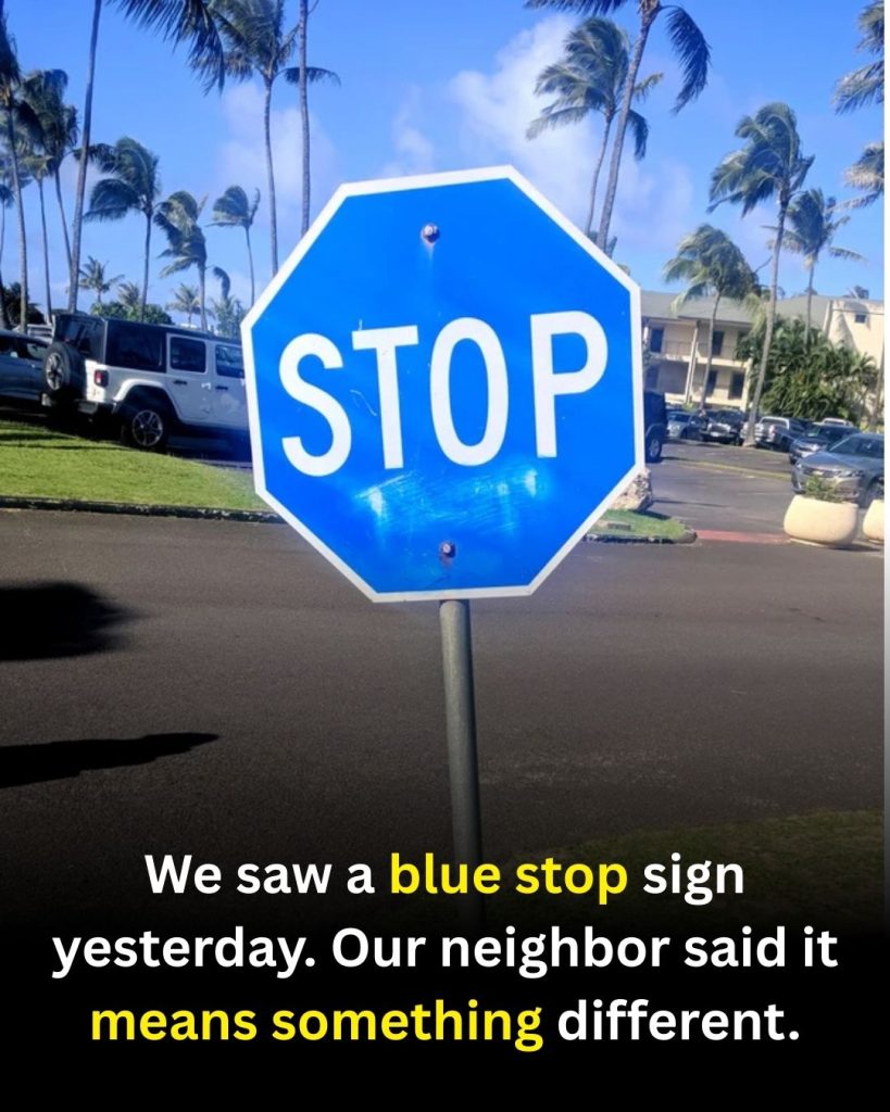 What a Blue Stop Sign Really Means (And When It Matters)