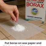 Put borax on wax paper and slide it under fridge. Here’s why