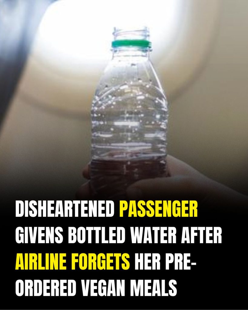 Passenger Says Pre-Ordered Vegan Meal Was Missed on Long-Haul Flight, Receives Snacks Instead