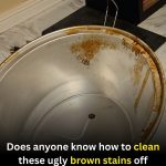 How to Clean and Prevent Brown Stains in a Stainless Steel Sink
