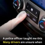 The Dashboard Button Many Drivers Overlook — And Why It’s Useful