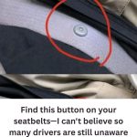 The Hidden Hero of Your Seat Belt: What Is That Little Round Button — And Why It’s Essential