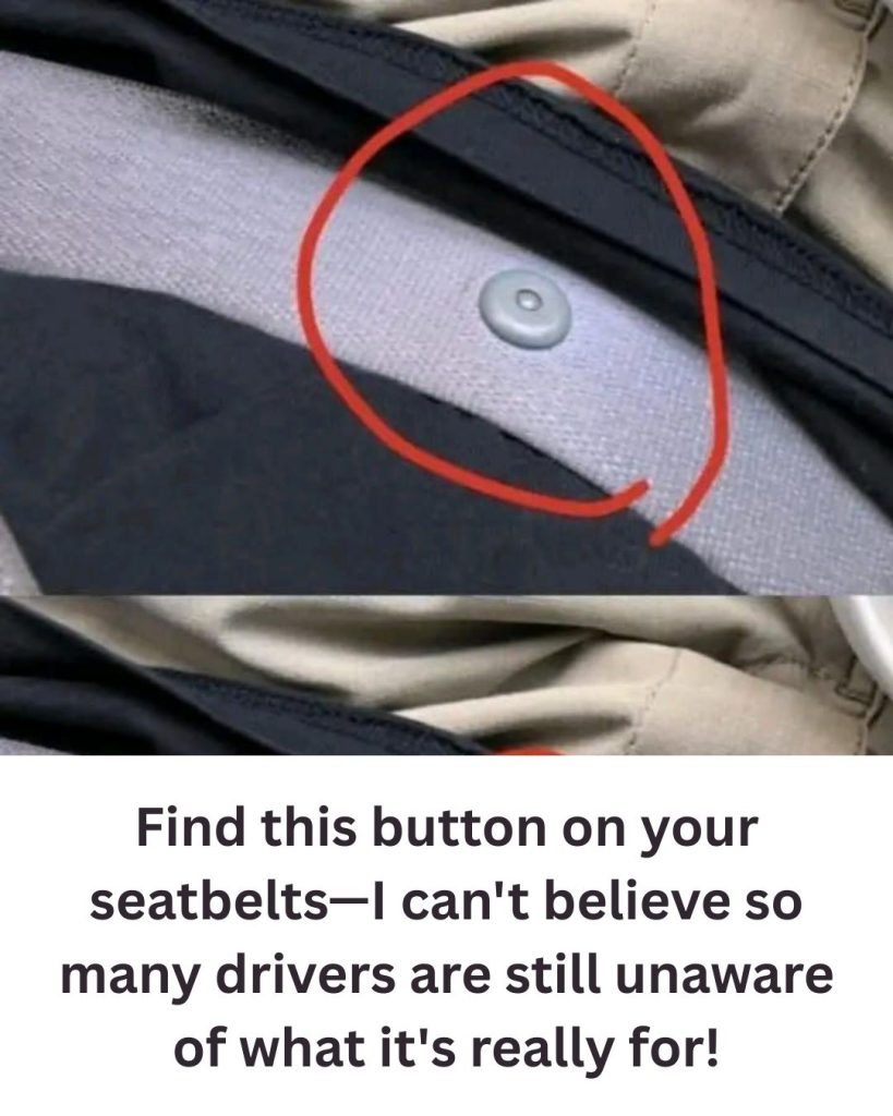 The Hidden Hero of Your Seat Belt: What Is That Little Round Button — And Why It’s Essential