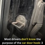 The Small Hook on Your Car Door: What It’s Really For