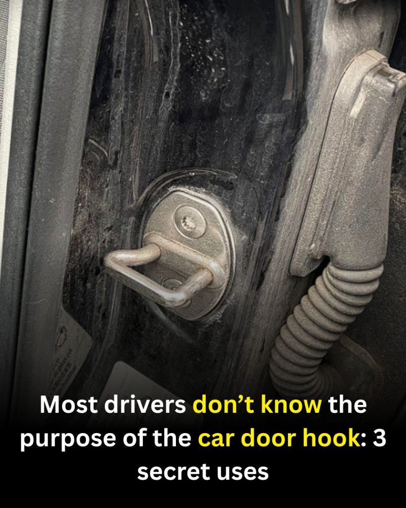 The Small Hook on Your Car Door: What It’s Really For