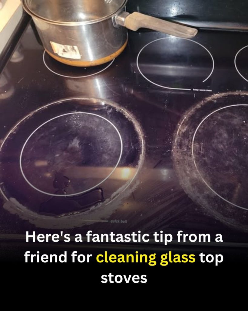 How to Make Your Glass Stovetop Clean Again (Simple, Gentle Method)